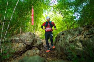 BIB: 2005
                            <button type="button" onclick="openModal(22087587)" class="btn btn-primary btn-sm float-right btn-popup" data-toggle="modal" data-target=".modal-high-quality">
                        <i class="fas fa-shopping-cart"></i> Add to Cart
                    </button>
                                            <button type="button" onclick="isThisMe(22087587, true)" class="btn btn-success btn-sm float-right btn-popup btn-isme hidden" data-toggle="tooltip" data-placement="bottom" title="นี่คือรูปของคุณใช่ไหม คลิกที่นี่เพื่อเอาเข้าอัลบั้ม">
                        <i class="fas fa-plus"></i> Add to album
                    </button>
                    <button type="button" onclick="isThisMe(22087587, false)" class="btn btn-warning btn-sm float-right btn-popup btn-isnotme hidden">
                        <i class="fas fa-ban"></i> Remove from album
                    </button>